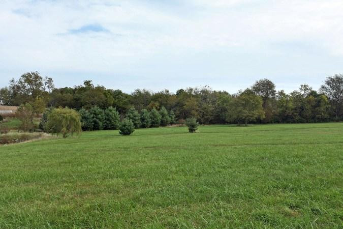3850 Haley Road Lexington, KY 40516 - Photo 14 of 40 Photo 14