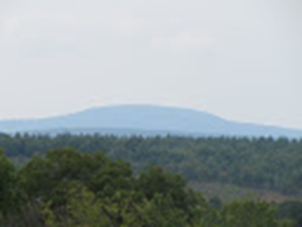 24 Still River Depot Road Harvard, MA 01451 - Photo 7 of 29 an aerial view of forest