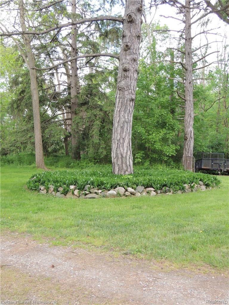 305 East Rattalee Lake Road Holly, MI 48442 - Photo 37 of 38 DSCN2716.jpg