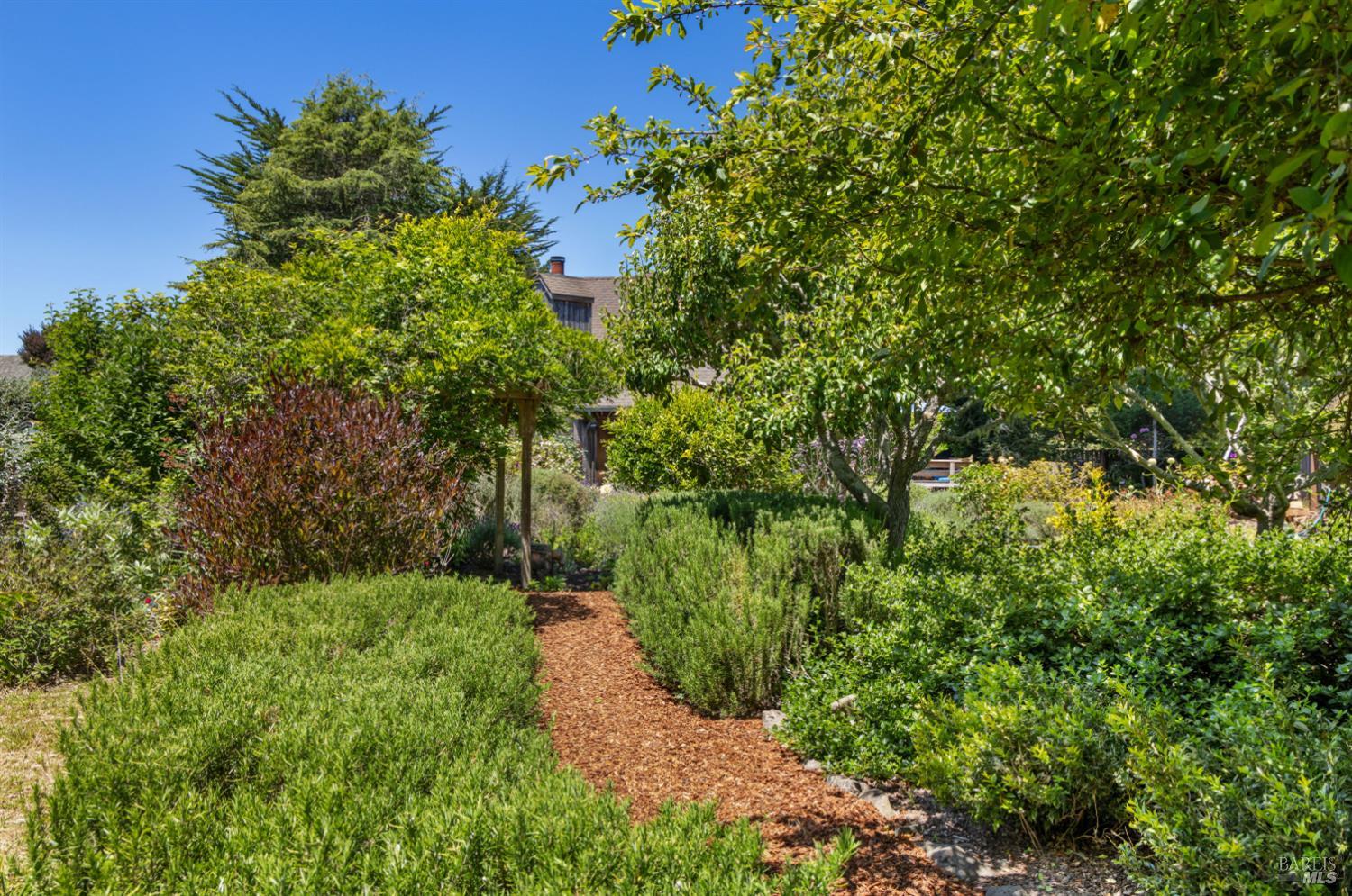 385 Cedar Road Bolinas, CA 94924 - Photo 53 of 70