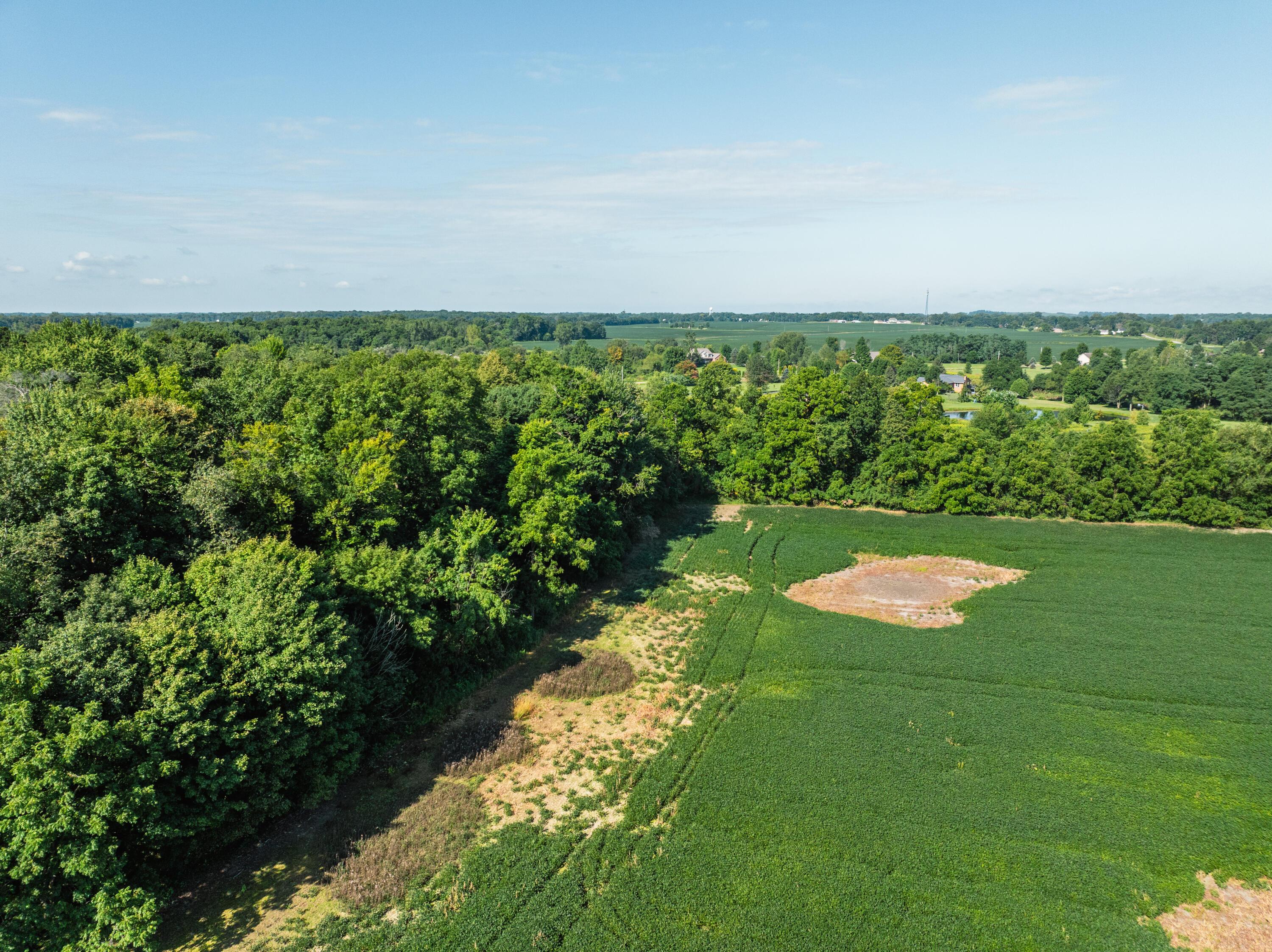 0 Sycamore Road Centerburg, OH 43011 - Photo 21 of 69 DJI_20260827152522_0801_D