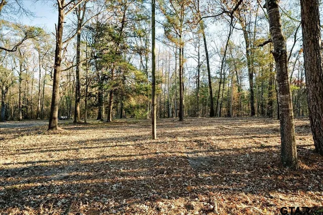 $165,000 | 1936 Farm To Market Road 2908, Tyler, TX 75705