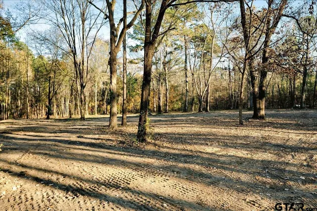 $165,000 | 1936 Farm To Market Road 2908, Tyler, TX 75705