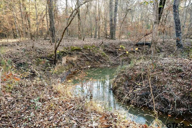 $165,000 | 1936 Farm To Market Road 2908, Tyler, TX 75705