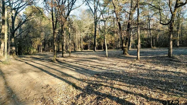 $165,000 | 1936 Farm To Market Road 2908, Tyler, TX 75705