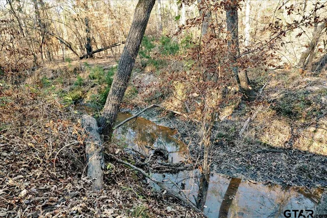 $165,000 | 1936 Farm To Market Road 2908, Tyler, TX 75705