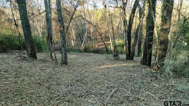 $165,000 | 1936 Farm To Market Road 2908, Tyler, TX 75705