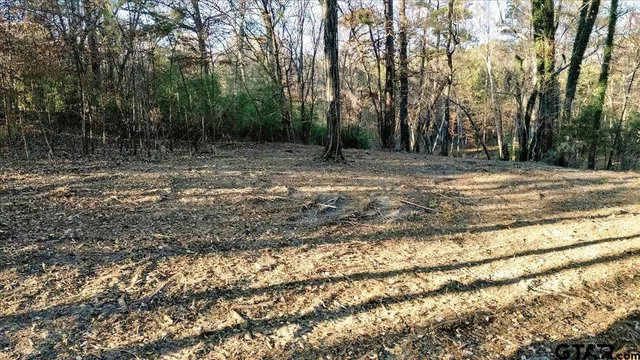 $165,000 | 1936 Farm To Market Road 2908, Tyler, TX 75705