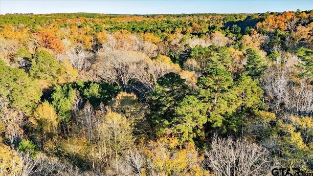 $165,000 | 1936 Farm To Market Road 2908, Tyler, TX 75705