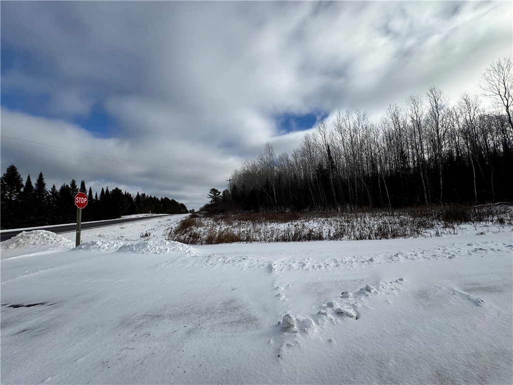 Lot 1 State Highway Winter, WI 54896 - Photo 2 of 7