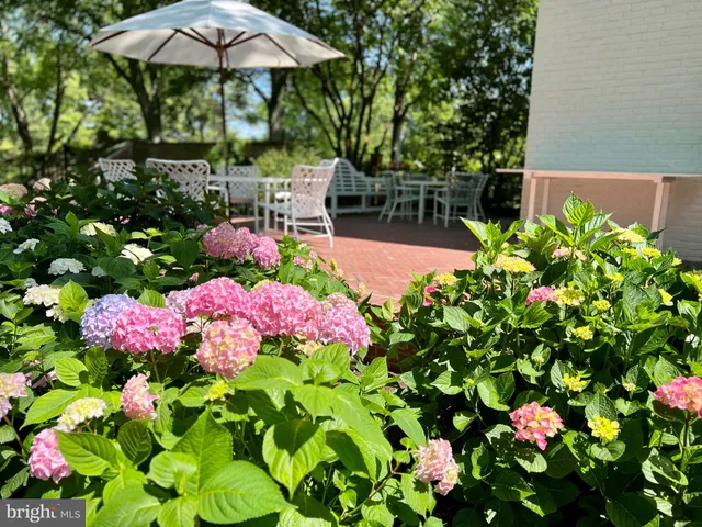 a view of a yard in front of house