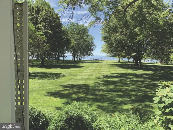 a view of a green field with lots of bushes