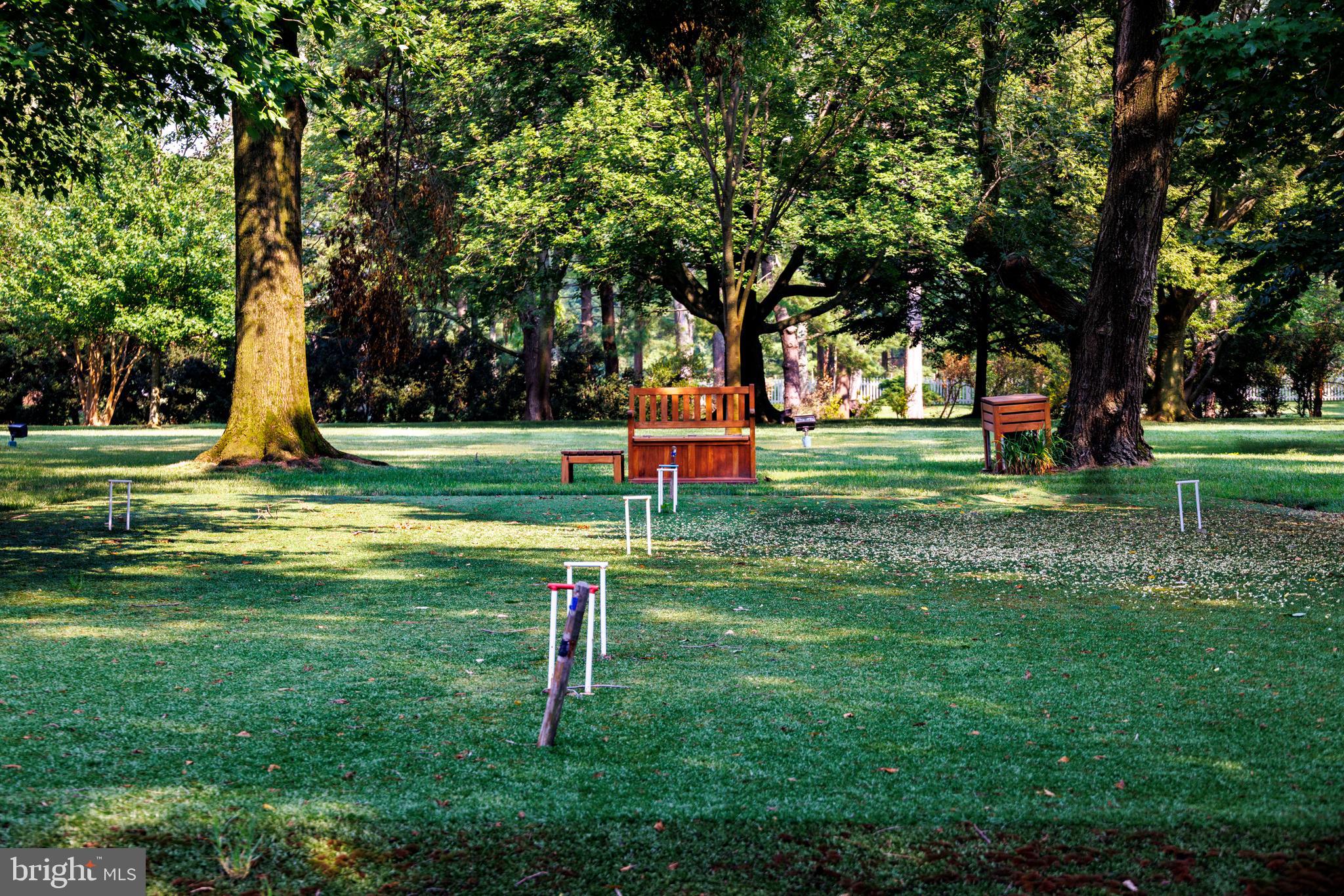 27295 Southside Island Creek Road Trappe, MD 21673 - Photo 48 of 91 Croquet court