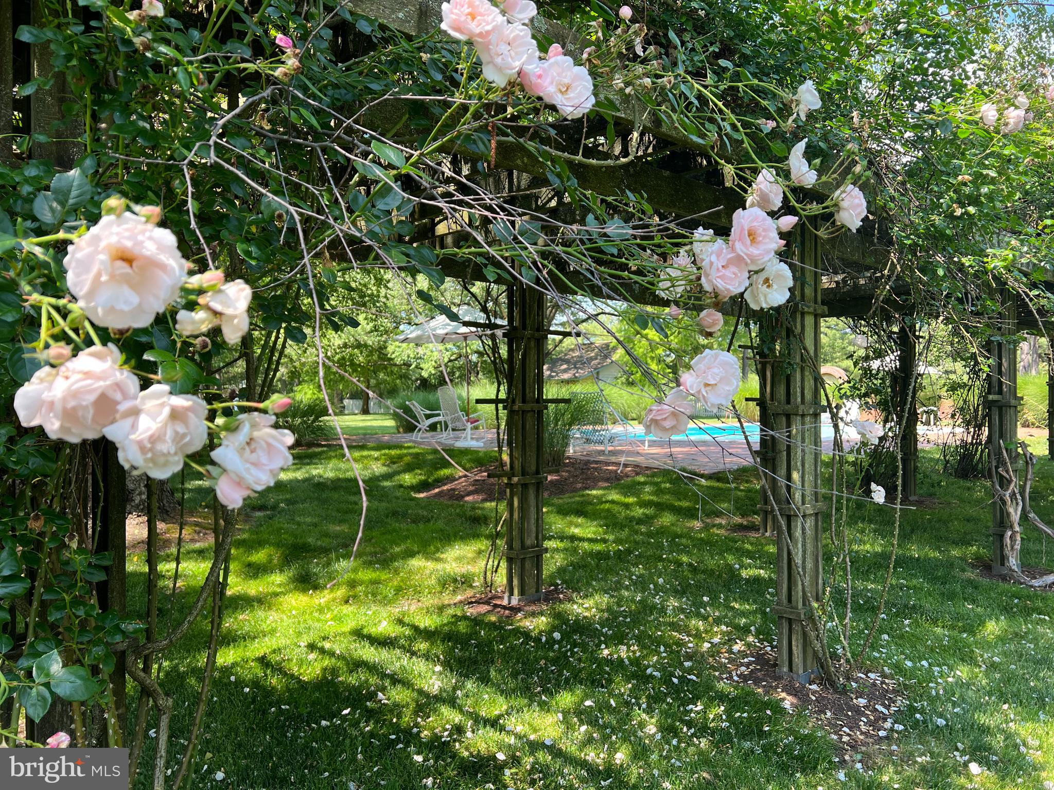 27295 Southside Island Creek Road Trappe, MD 21673 - Photo 55 of 91 Poolside trellis