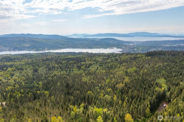 a view of a lush green hillside and houses