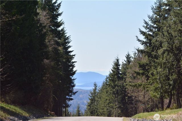 a view of a tree with a yard