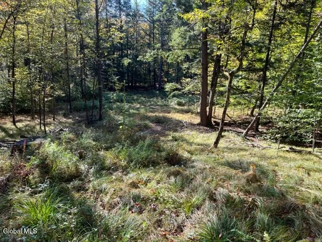 $60,000 | 123 Wildwood Lane, Broome, NY 12122