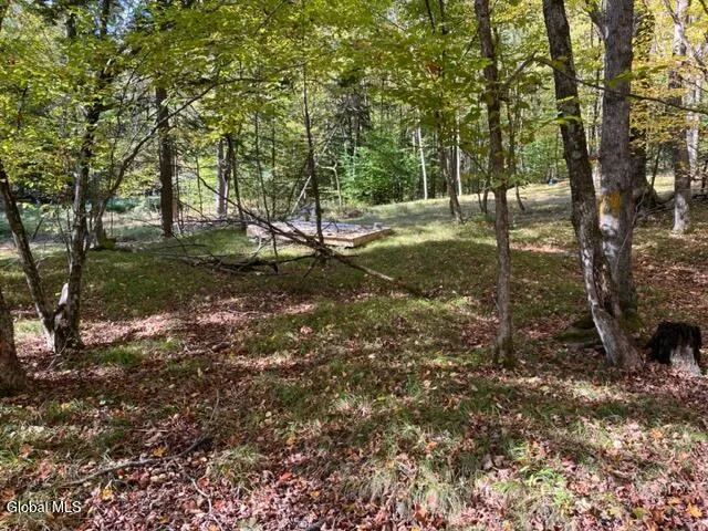 $60,000 | 123 Wildwood Lane, Broome, NY 12122