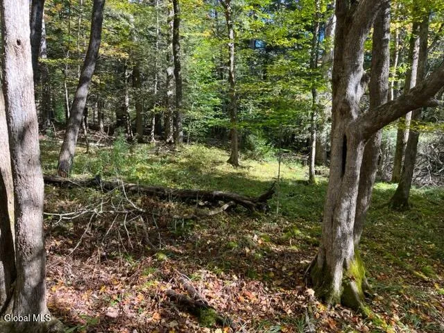 $60,000 | 123 Wildwood Lane, Broome, NY 12122