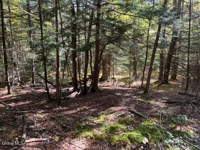 $60,000 | 123 Wildwood Lane, Broome, NY 12122