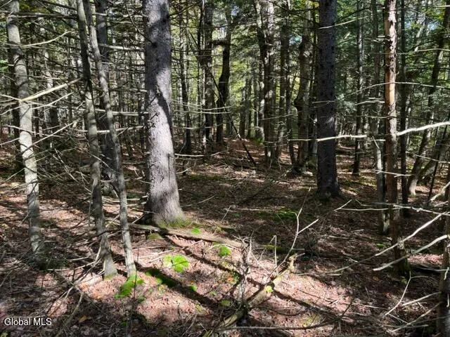 $60,000 | 123 Wildwood Lane, Broome, NY 12122