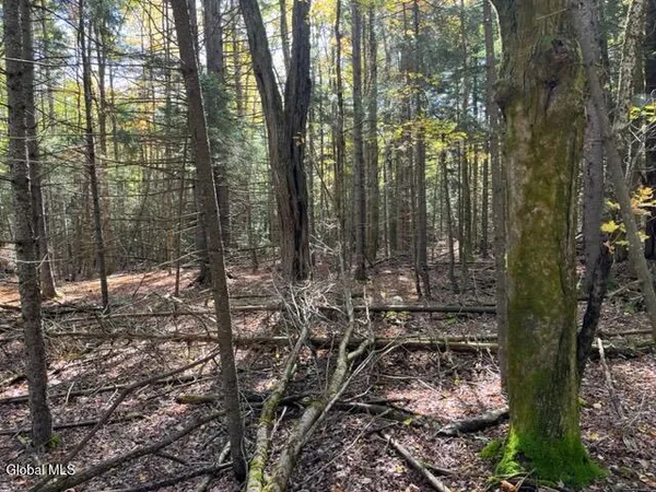 $60,000 | 123 Wildwood Lane, Broome, NY 12122