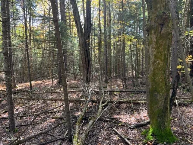 $60,000 | 123 Wildwood Lane, Broome, NY 12122