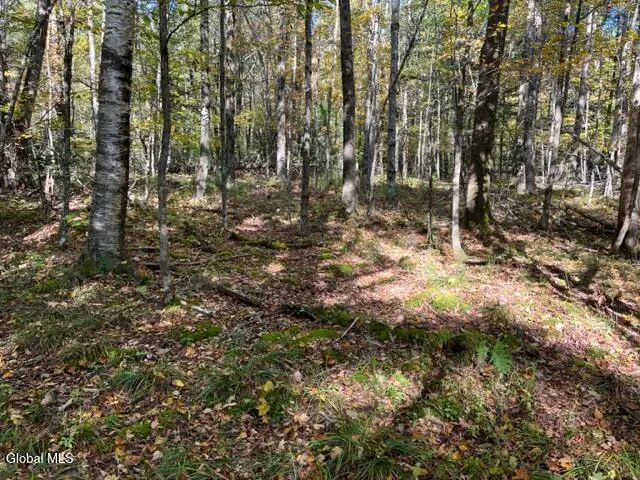 $60,000 | 123 Wildwood Lane, Broome, NY 12122