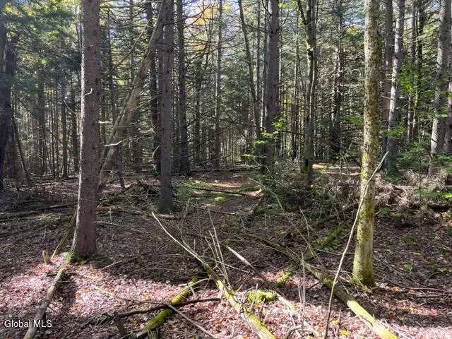 $60,000 | 123 Wildwood Lane, Broome, NY 12122