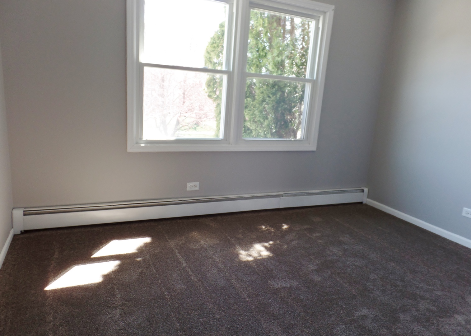 1504 Comanche Drive Bolingbrook, IL 60490 - Photo 26 of 34 an empty room with a window