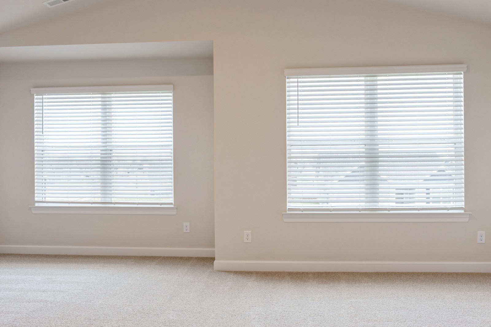 2341 Nabali Way Murfreesboro, TN 37127 - Photo 14 of 23 an empty room with a window