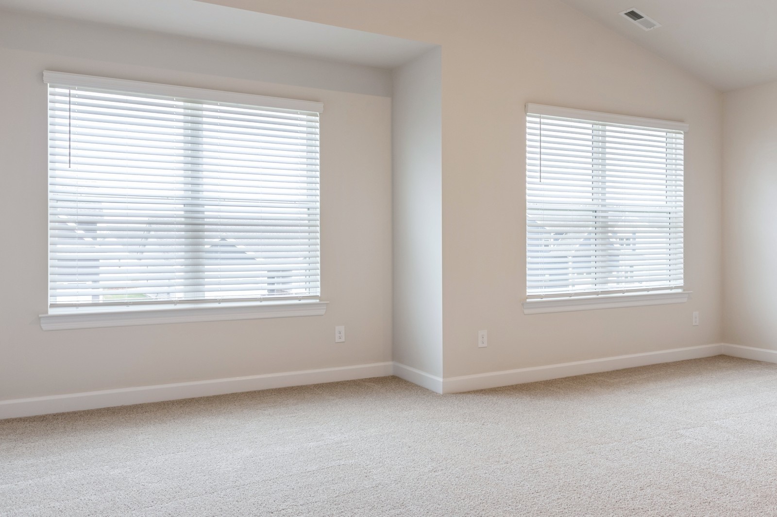 2341 Nabali Way Murfreesboro, TN 37127 - Photo 9 of 23 an empty room with a window