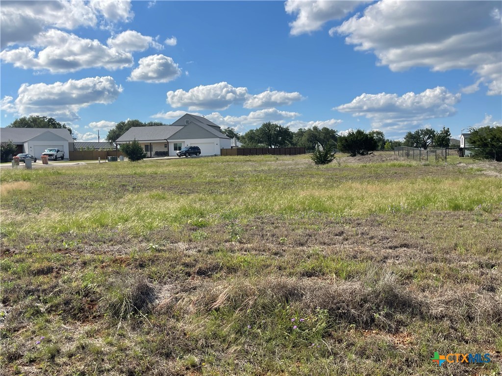 Tbd Joseph Durst Blanco, TX 78606 - Photo 3 of 11