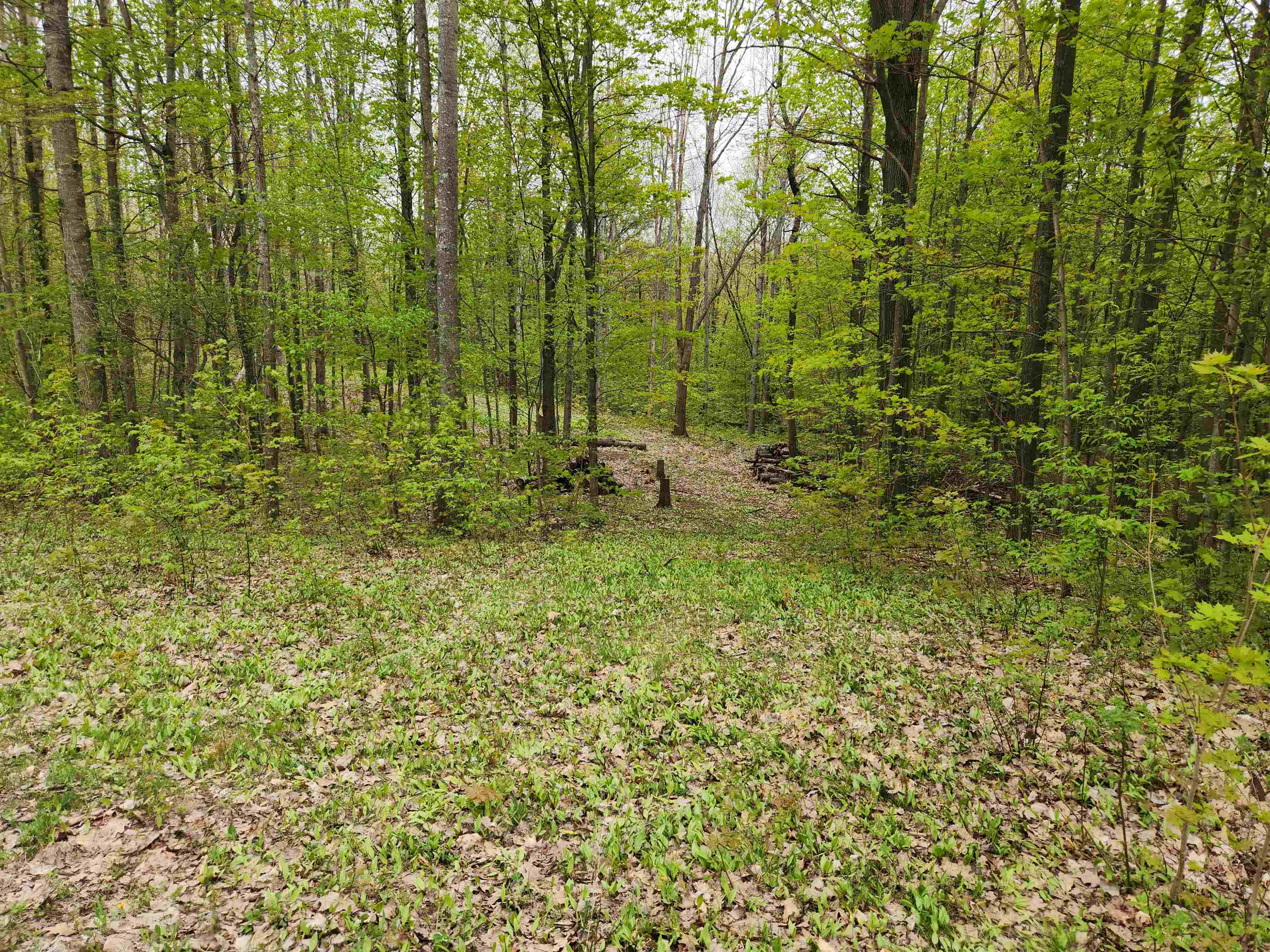 Lot 20 Heather Ridge Trail Beulah, MI 49617 - Photo 2 of 12