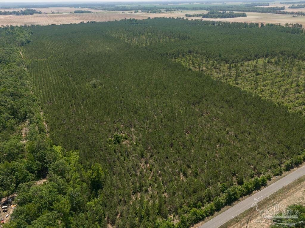 11 Bud Diamond Road Jay, FL 32565 - Photo 8 of 19