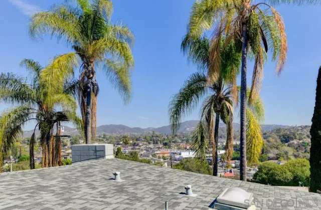 a view of a palm trees front of house