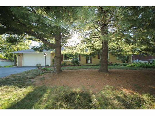 1813 Warren Road Rockford, IL 61108 - Photo 1 of 11 a view of a tree in the middle of a yard