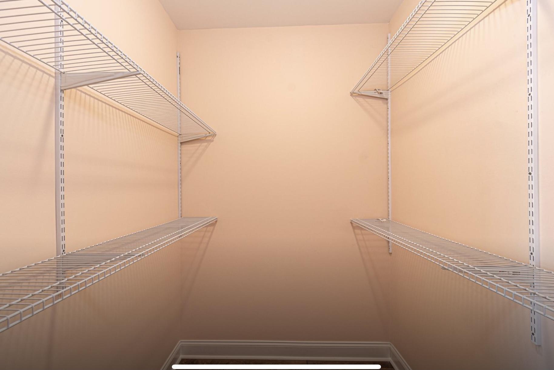 202 New Iris Lane Ridgeville, SC 29472 - Photo 13 of 13 walk-in closet