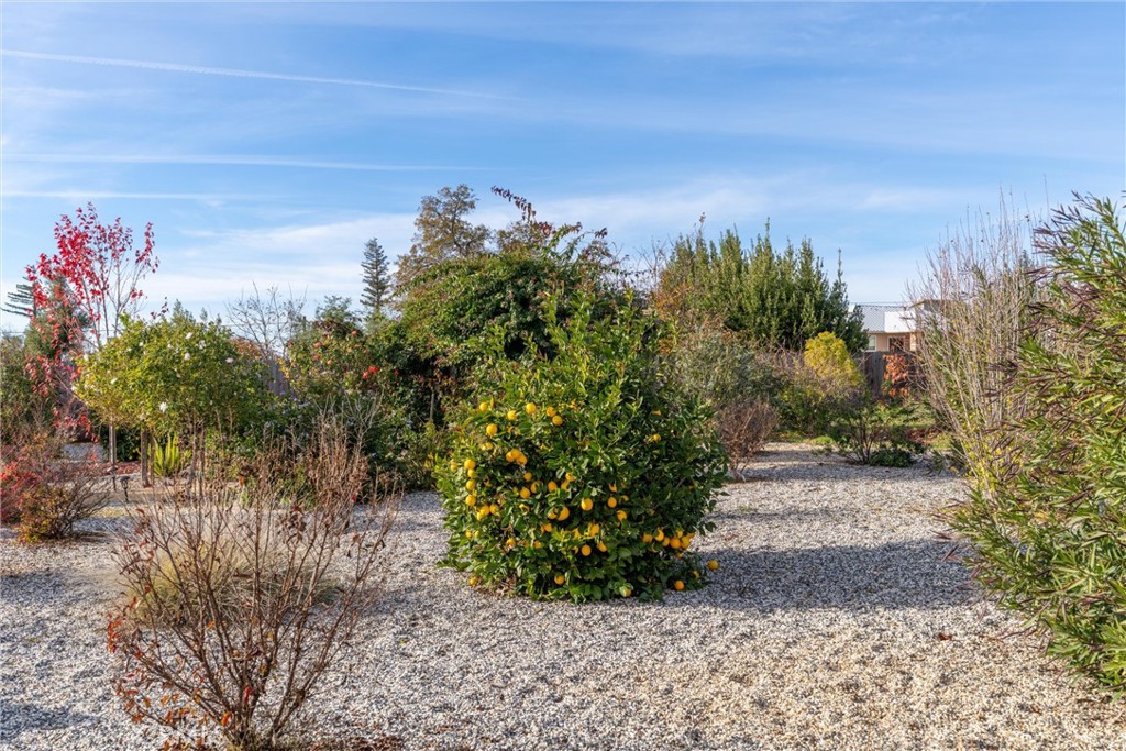 1381 Bennett Road Paradise, CA 95969 - Photo 37 of 44