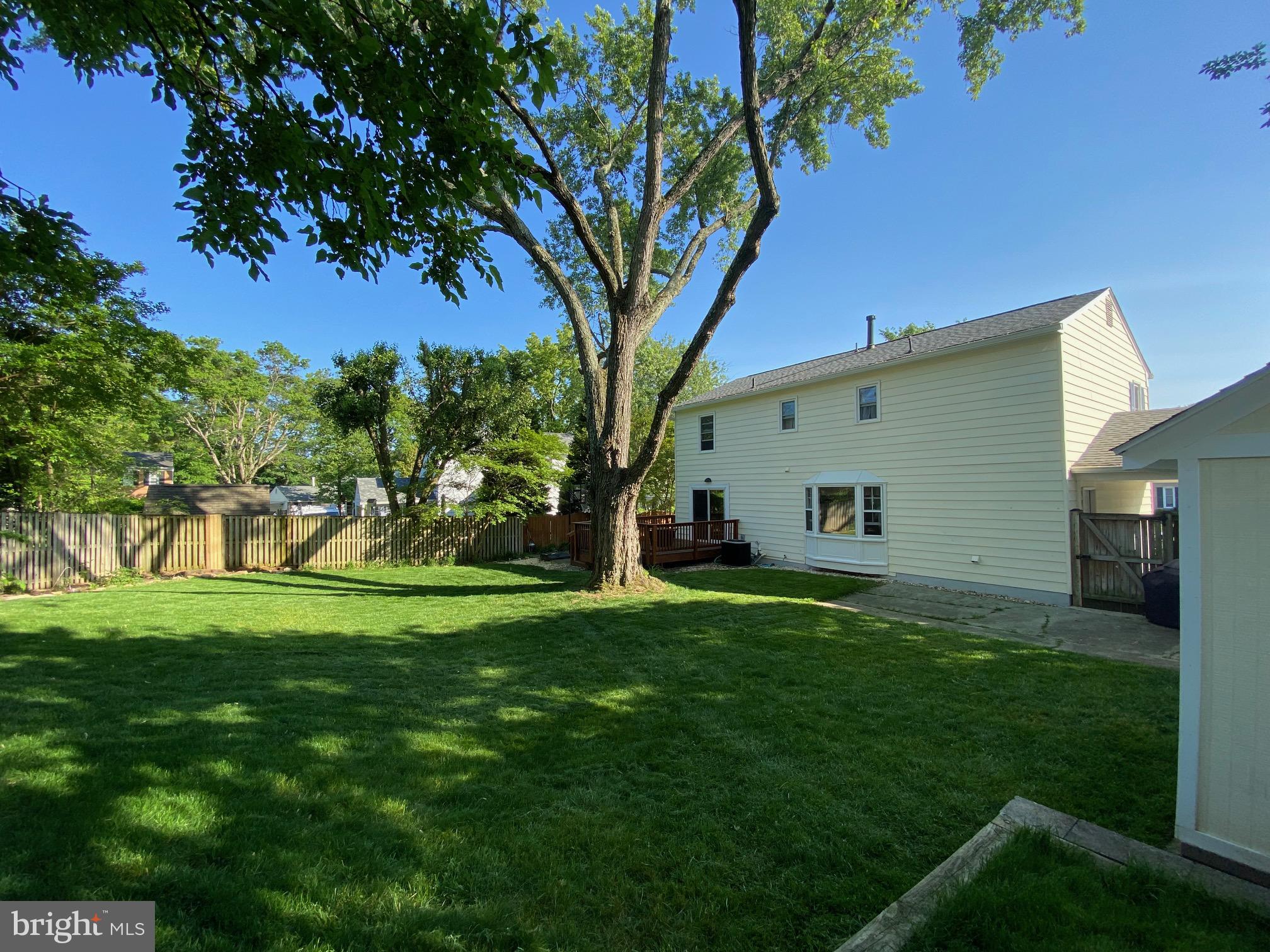 15918 Jerald Road Laurel, MD 20707 - Photo 40 of 40 a view of a backyard with plants and large tree