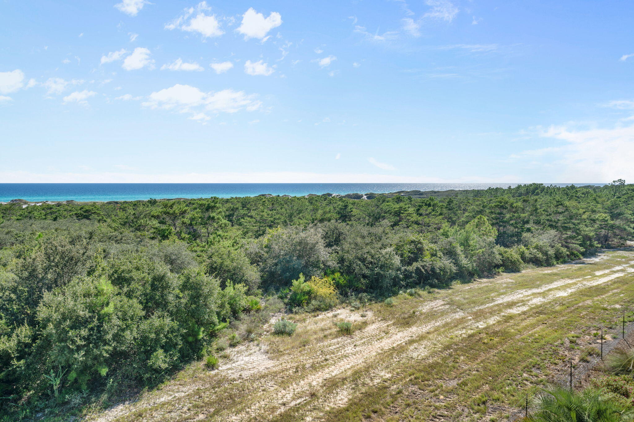 255 Cypress Drive Santa Rosa Beach, FL 32459 - Photo 27 of 81 a view of a field with an trees