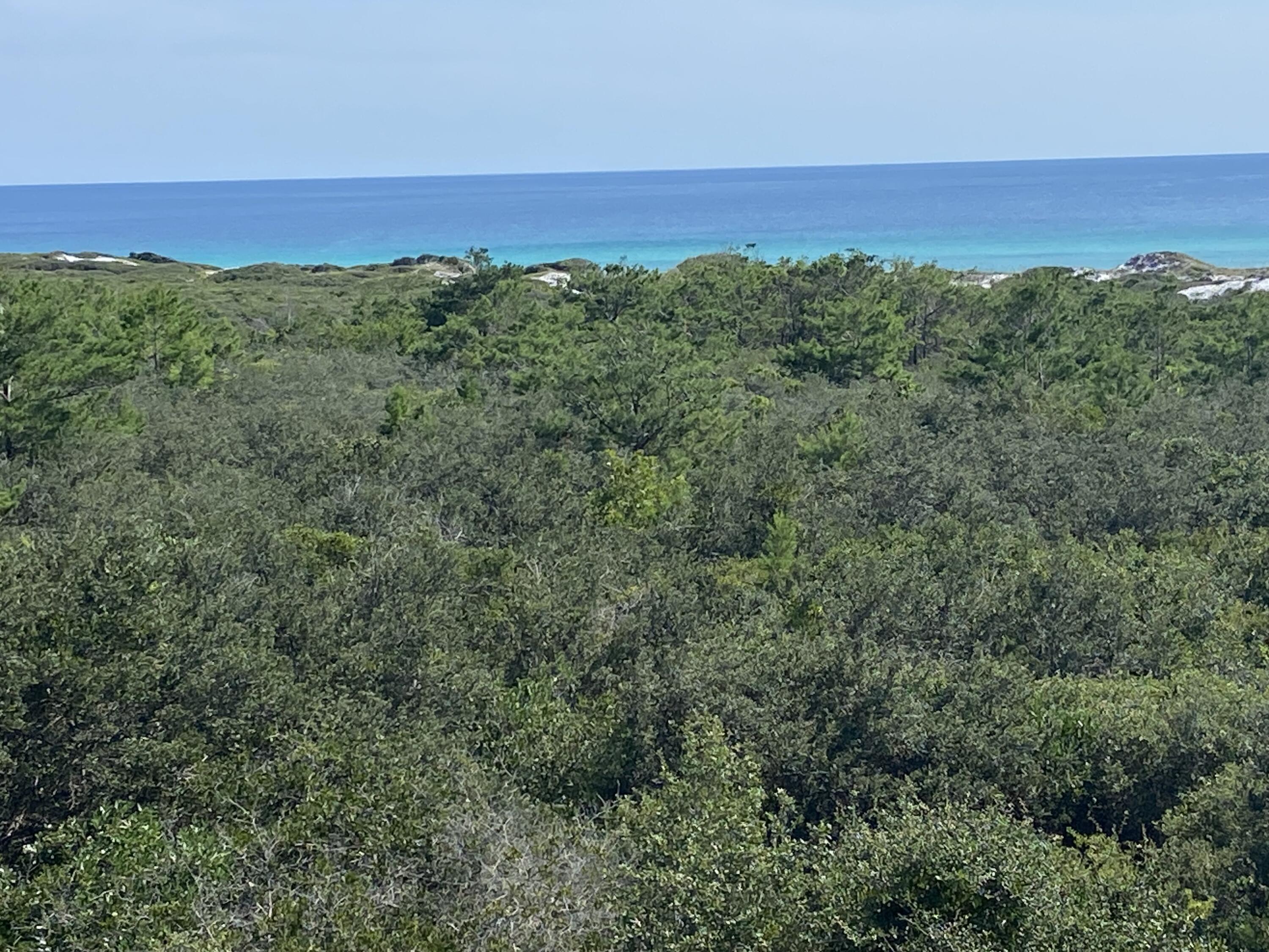 255 Cypress Drive Santa Rosa Beach, FL 32459 - Photo 48 of 81 an aerial view of residential houses with outdoor space and trees