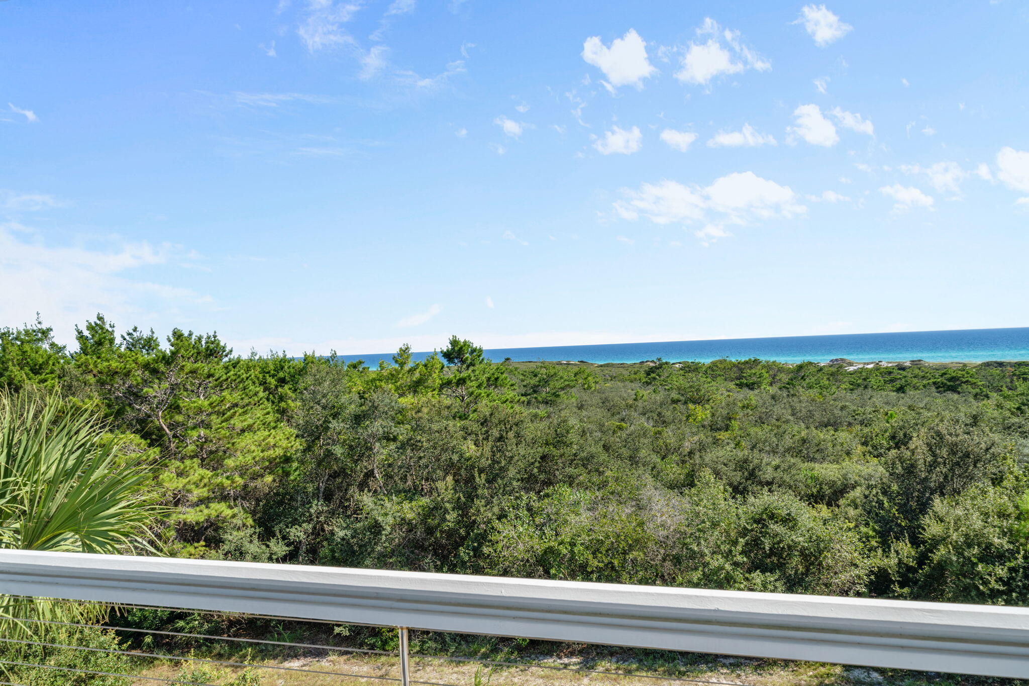 255 Cypress Drive Santa Rosa Beach, FL 32459 - Photo 63 of 81 a view of a garden from a window