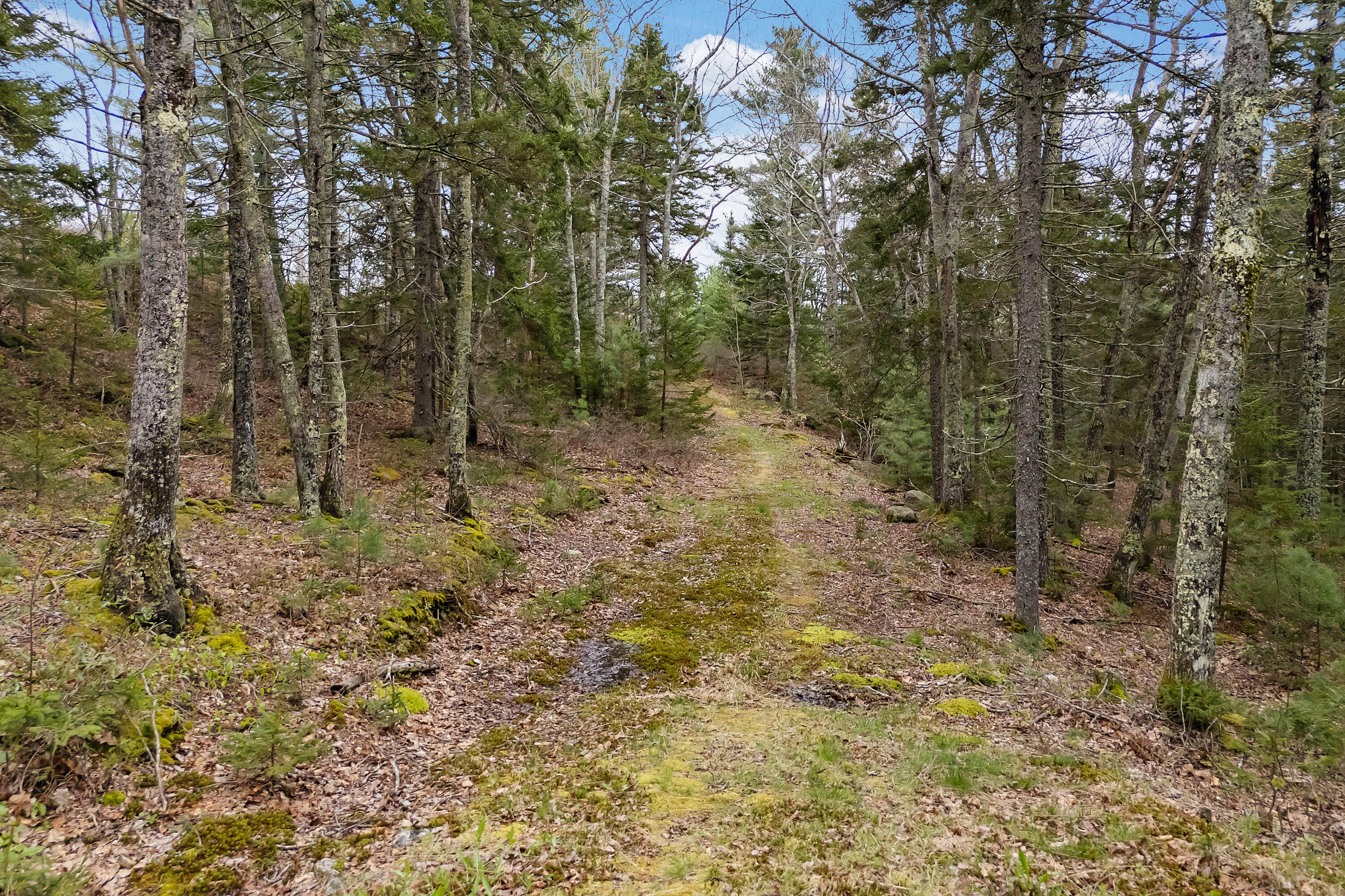 15 Abenaki Road Phippsburg, ME 04562 - Photo 28 of 33 15 Abenaki Rd_130