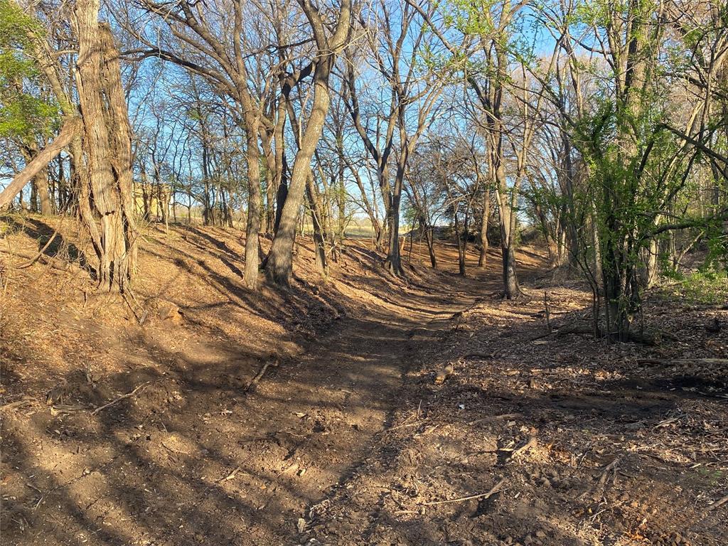 1032 Rays Way Weatherford, TX 76085 - Photo 2 of 25 a backyard of a house with lots of green space