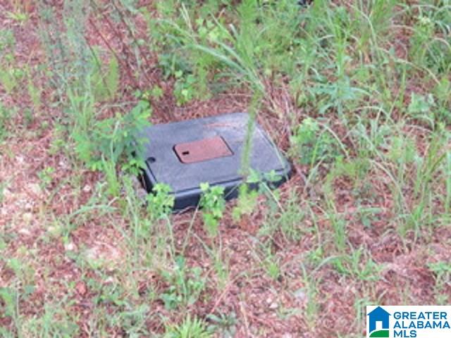 1980 Dripping Rock Road, Unit 20 50 AC Piedmont, AL 36272 - Photo 17 of 19