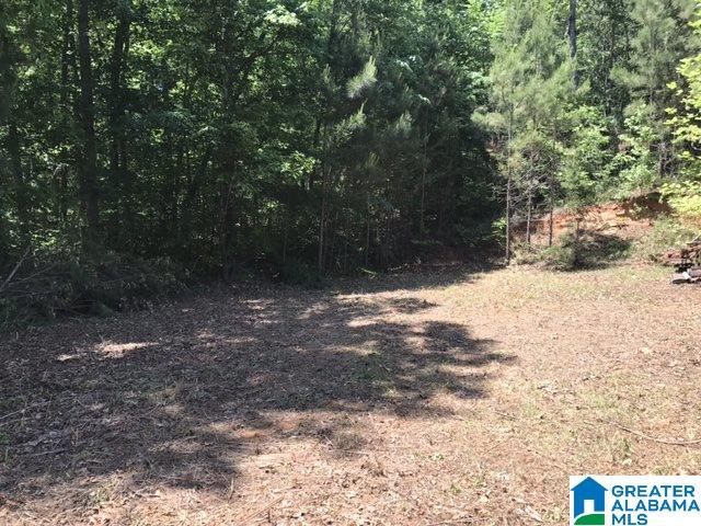 Wright Way Drive, Unit 3 Wedowee, AL 36278 - Photo 7 of 8