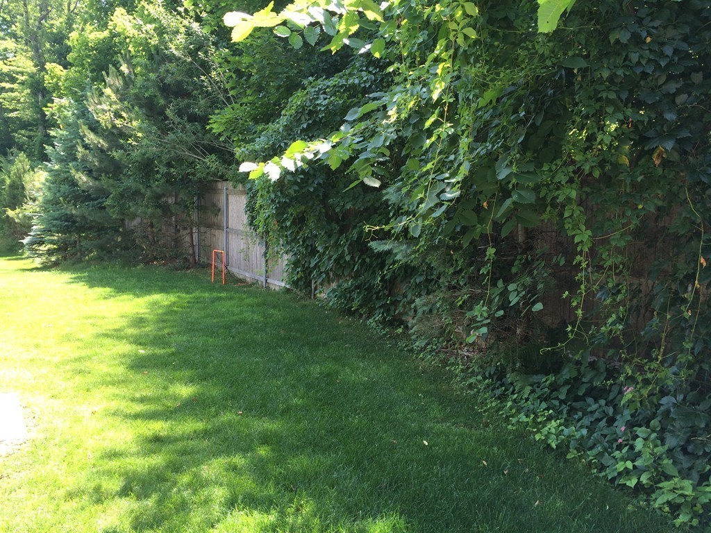22 Whispering Pine Circle, Unit 29 Worcester, MA 01606 - Photo 29 of 30 a view of a yard with a tree