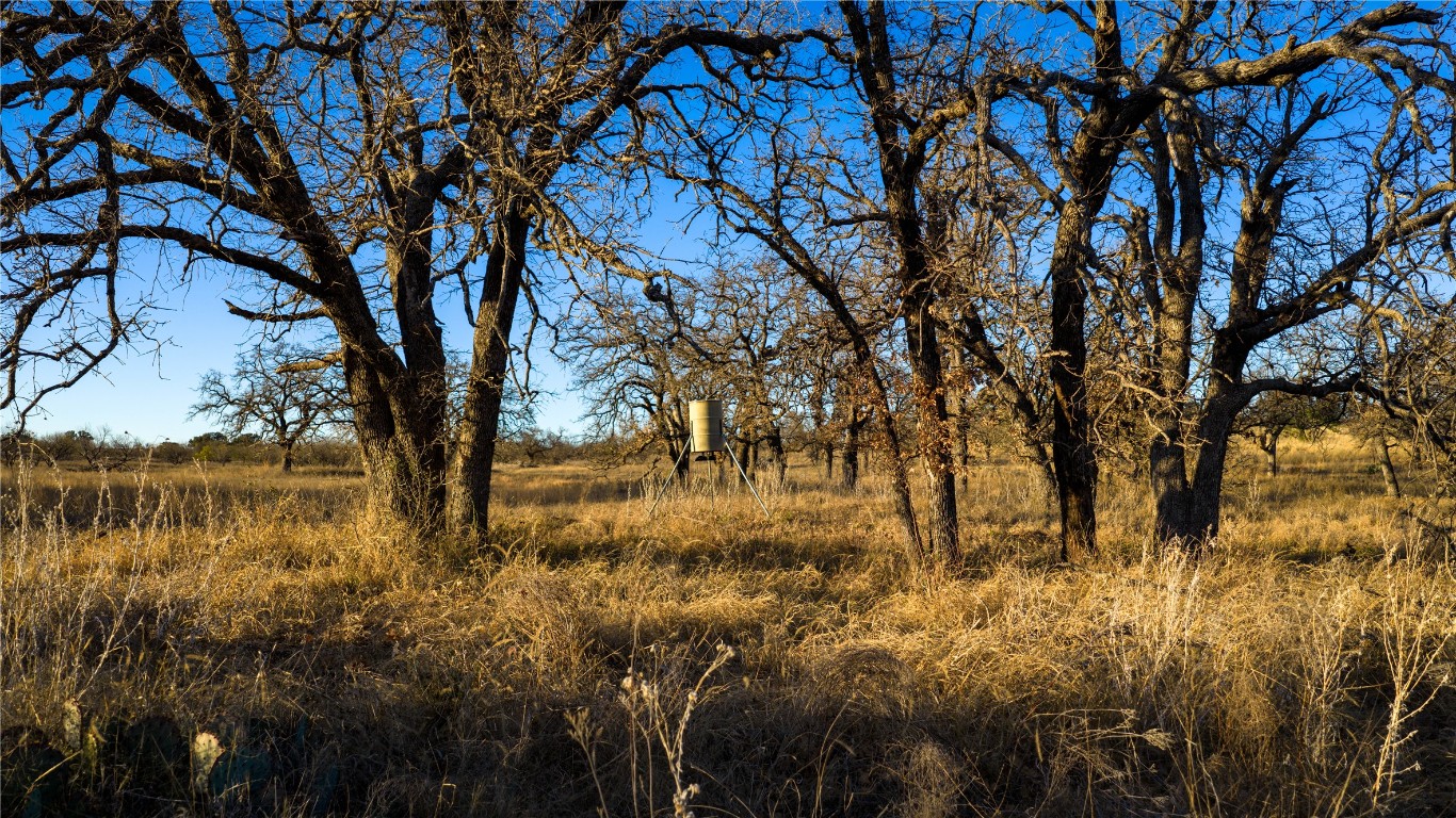 126 Buffalo Rd Valley Spring Valley Spring, TX 76885 - Photo 23 of 39 a view of yard with trees