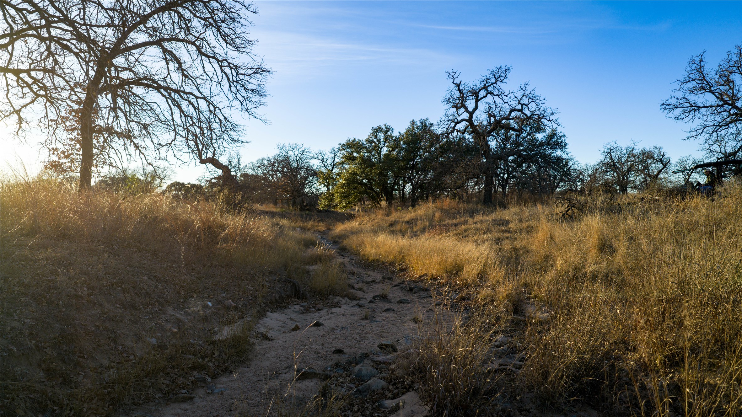 126 Buffalo Rd Valley Spring Valley Spring, TX 76885 - Photo 24 of 39 View of nature